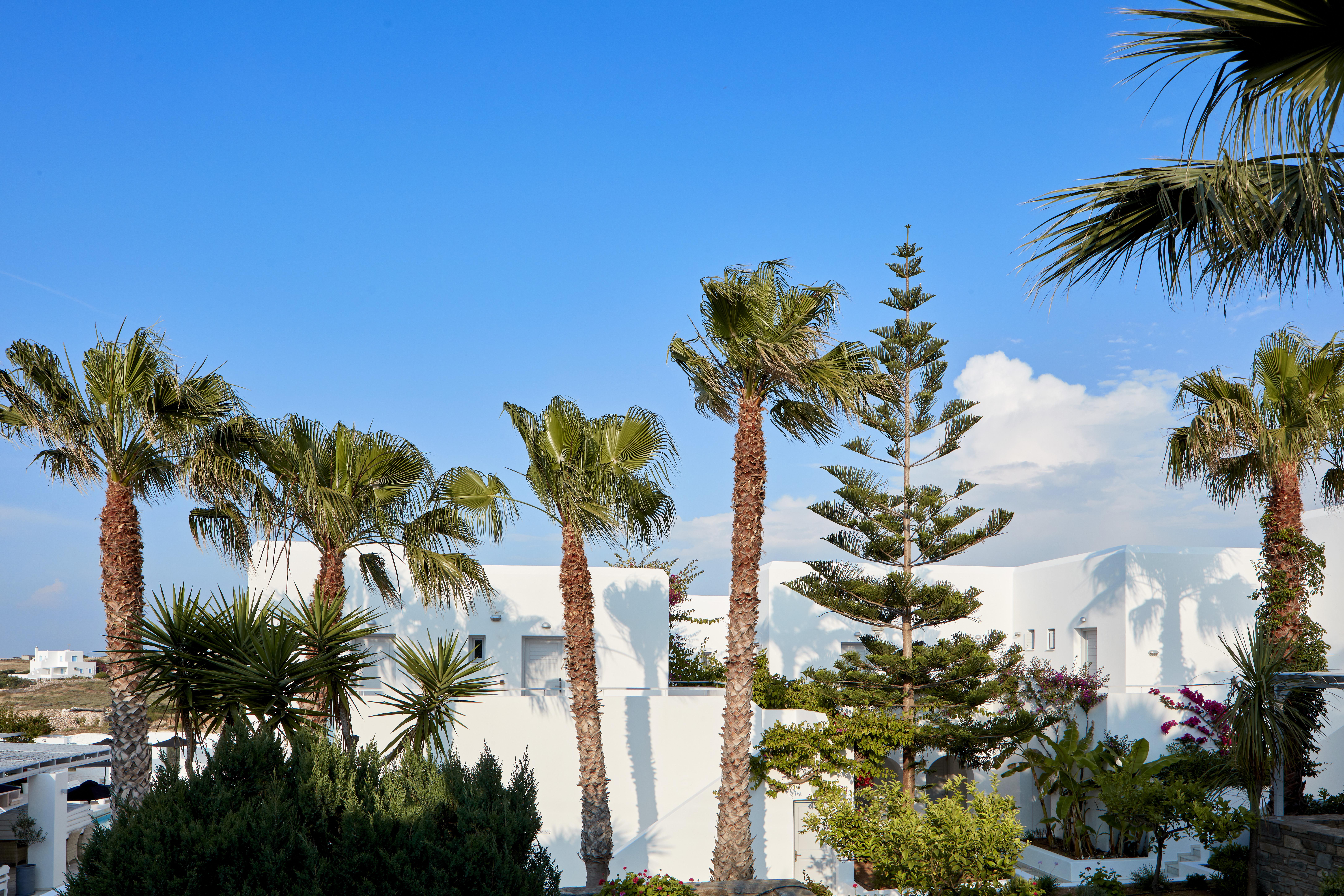 Hotel Mr And Mrs White Paros à Náoussa Extérieur photo