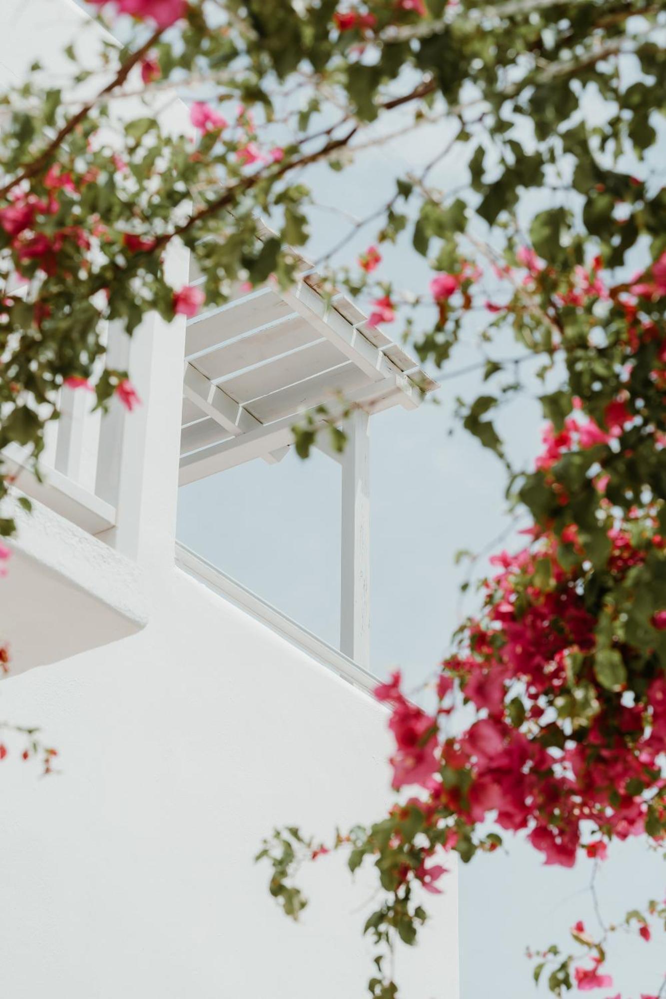 Hotel Mr And Mrs White Paros à Náoussa Extérieur photo