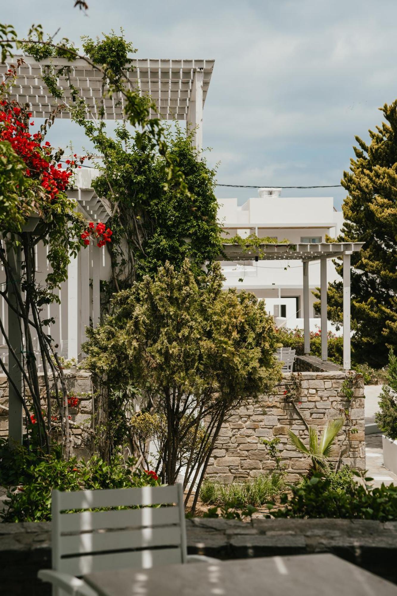Hotel Mr And Mrs White Paros à Náoussa Extérieur photo